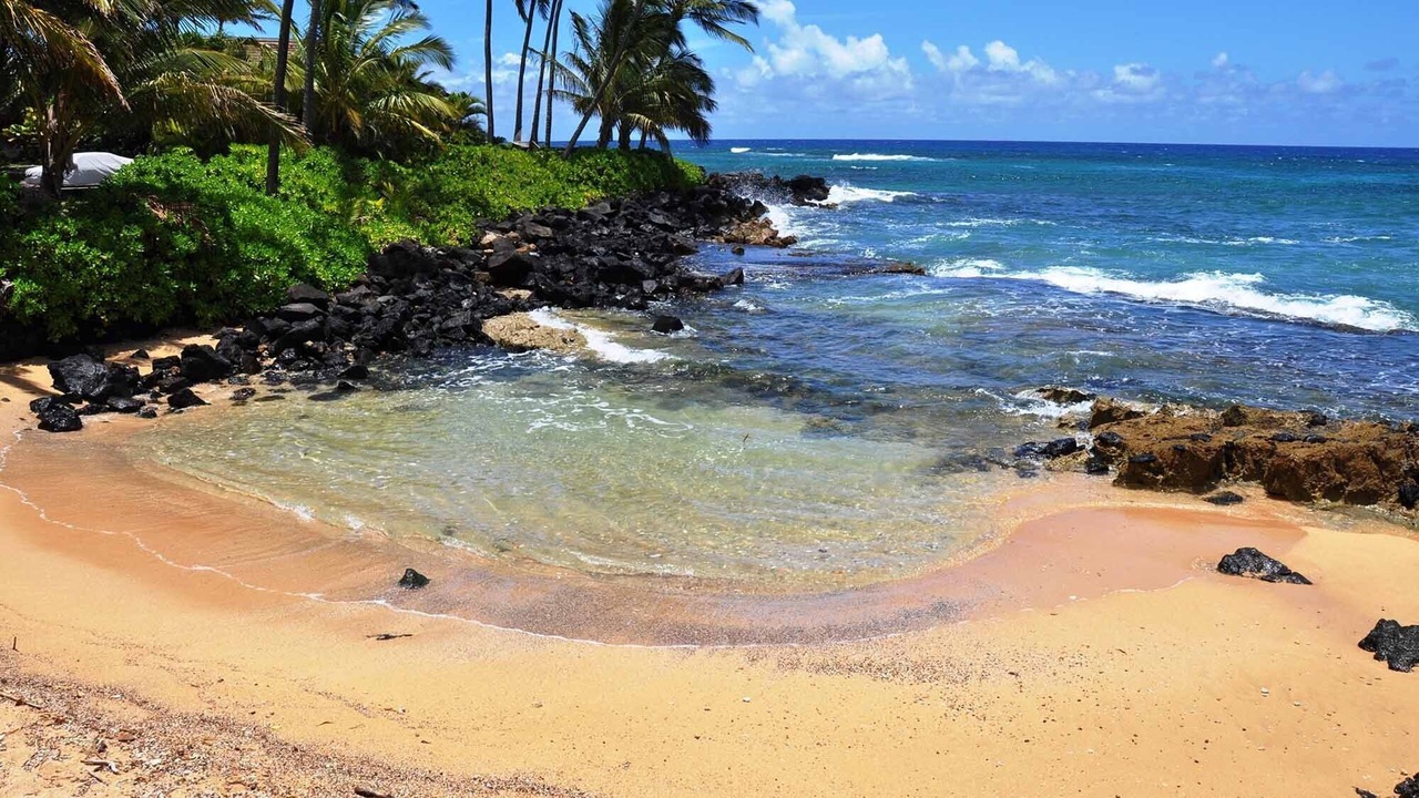 Photo of Others in Poipu
