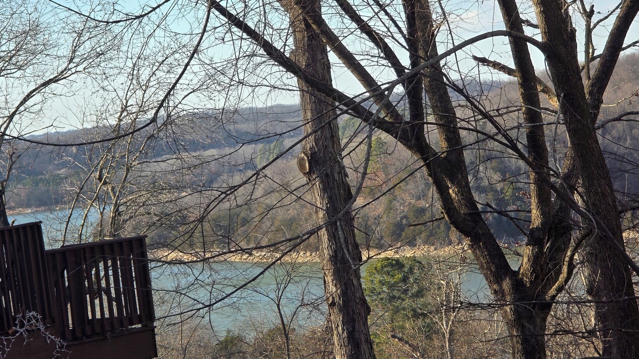 Photo of Others in Springdale