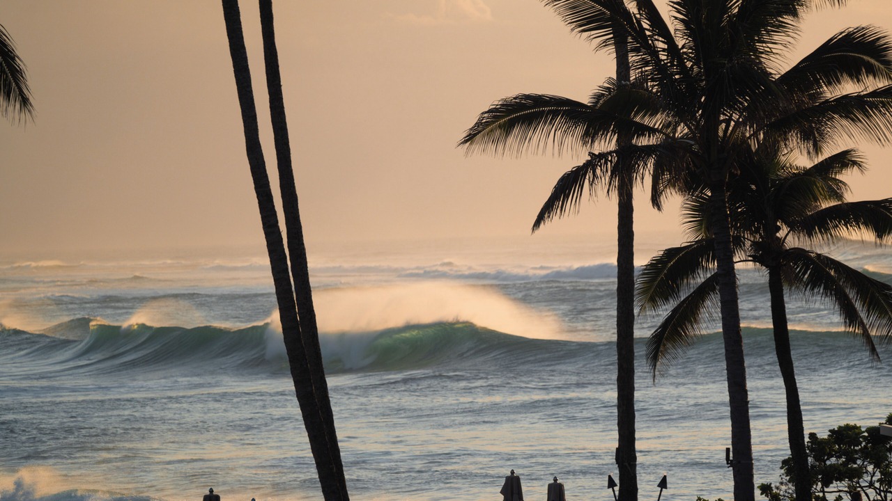 Photo of Others in Kahuku