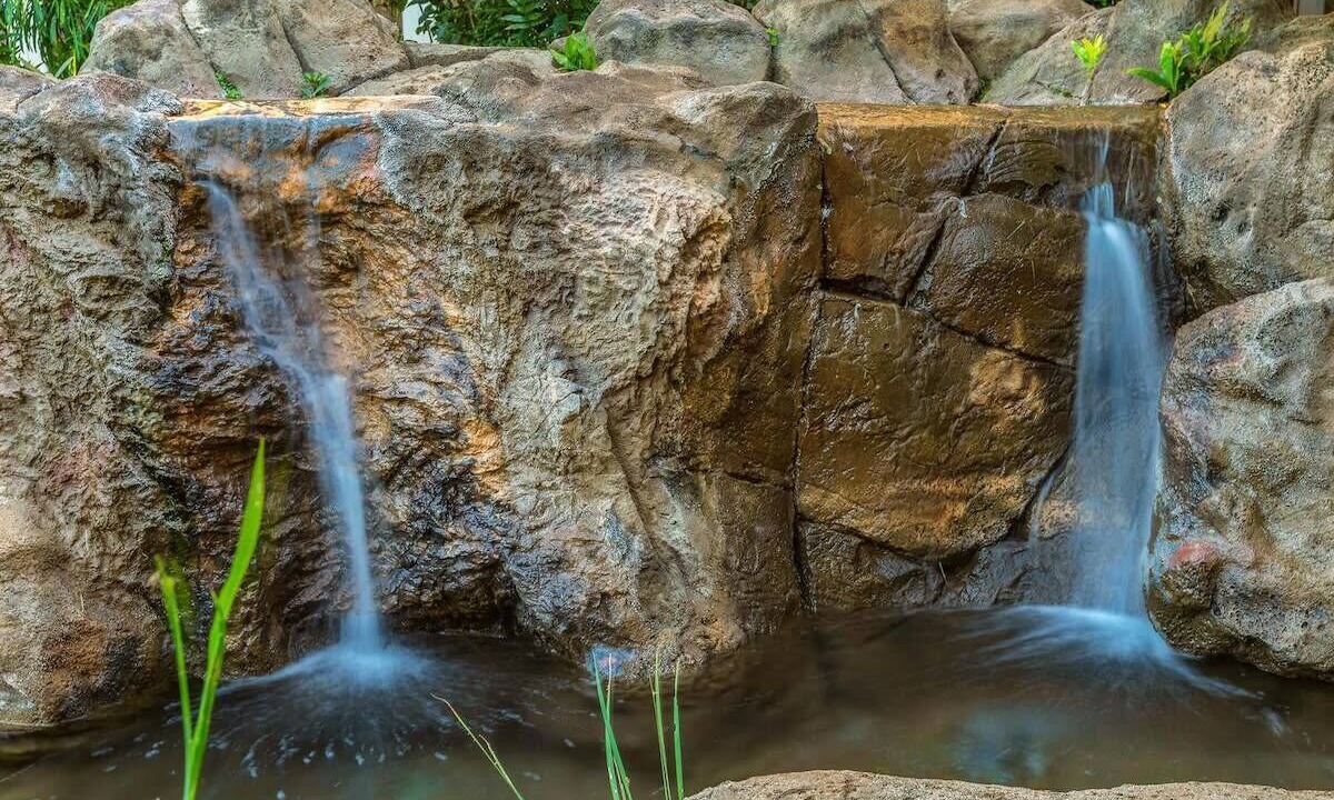 Photo of Others in Poipu