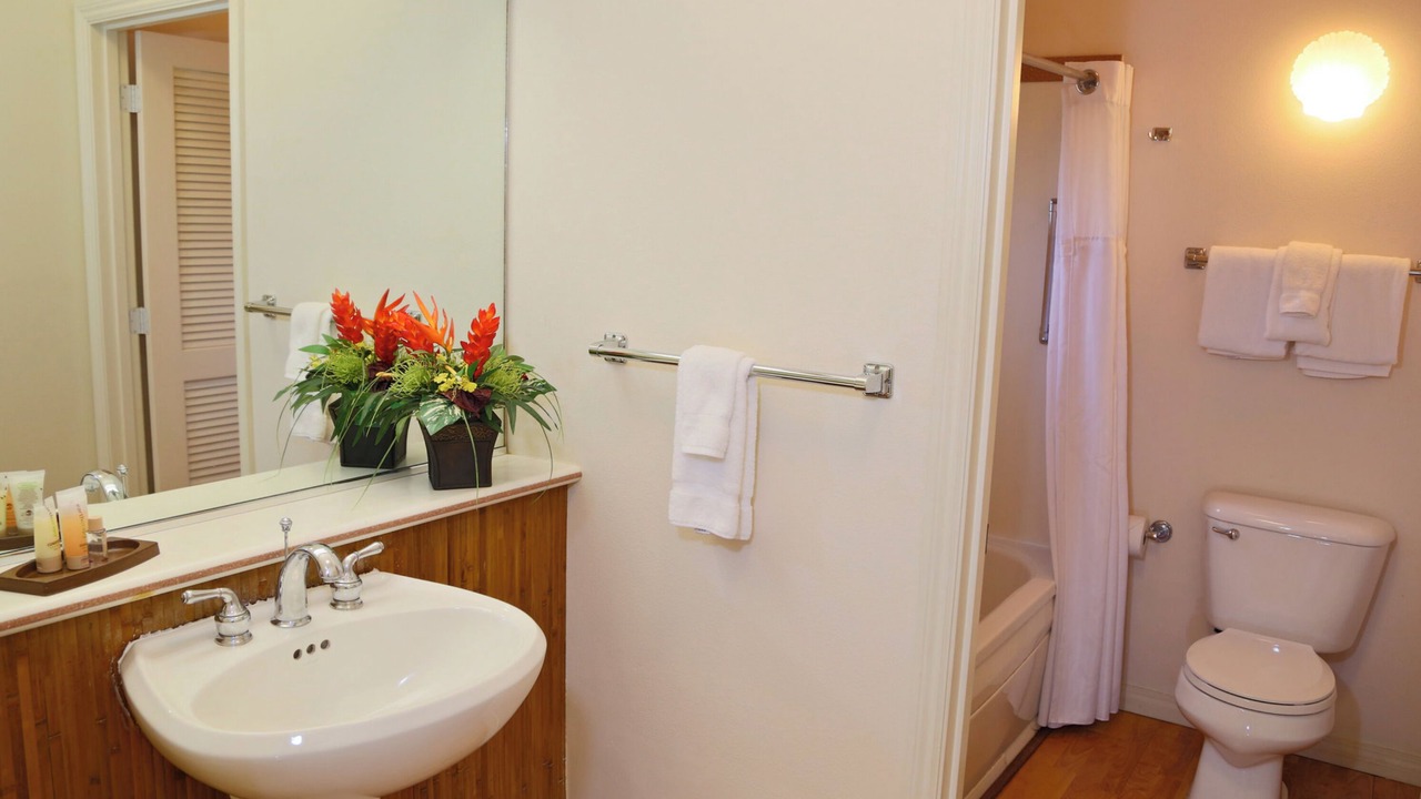 Photo of Bathroom in Princeville