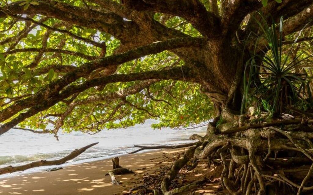Photo of Others in Princeville