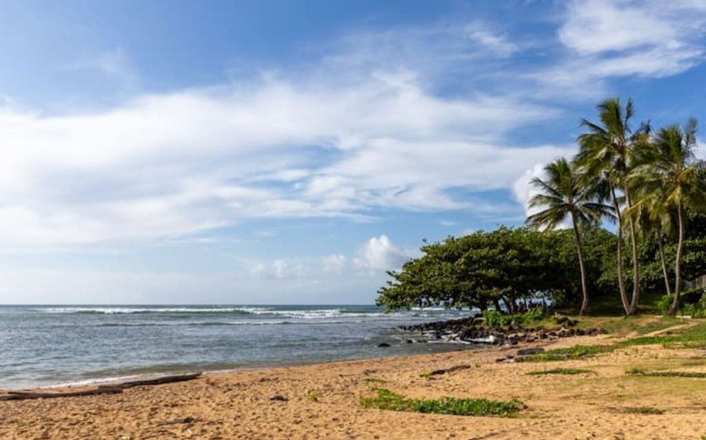 Photo of Others in Princeville