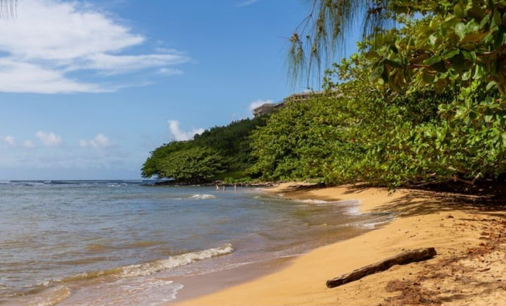 Photo of Others in Princeville