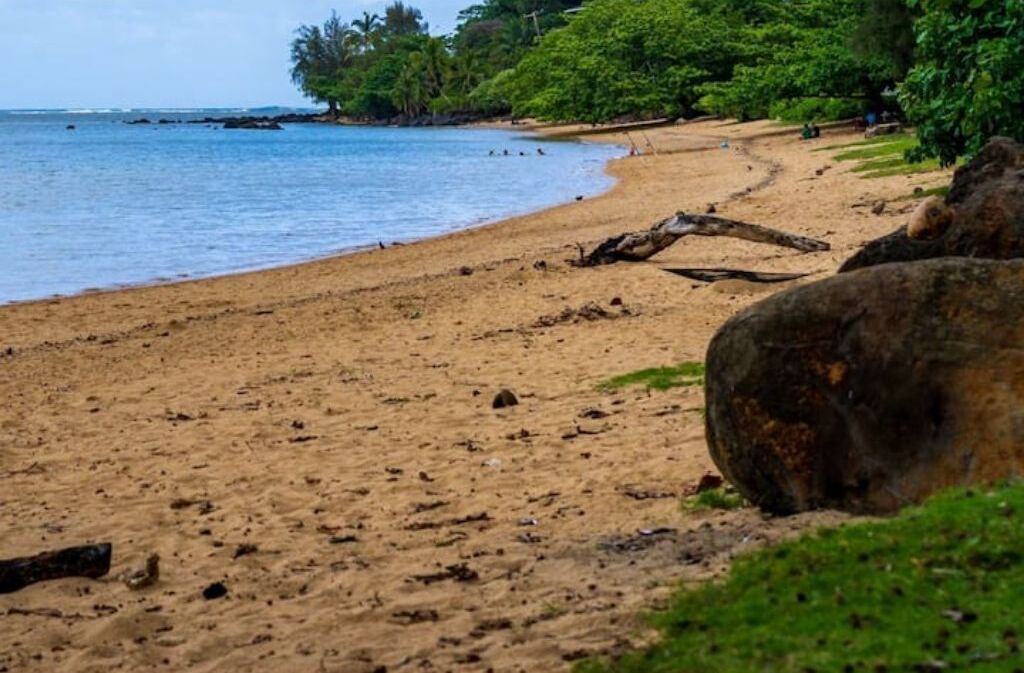Photo of Others in Princeville