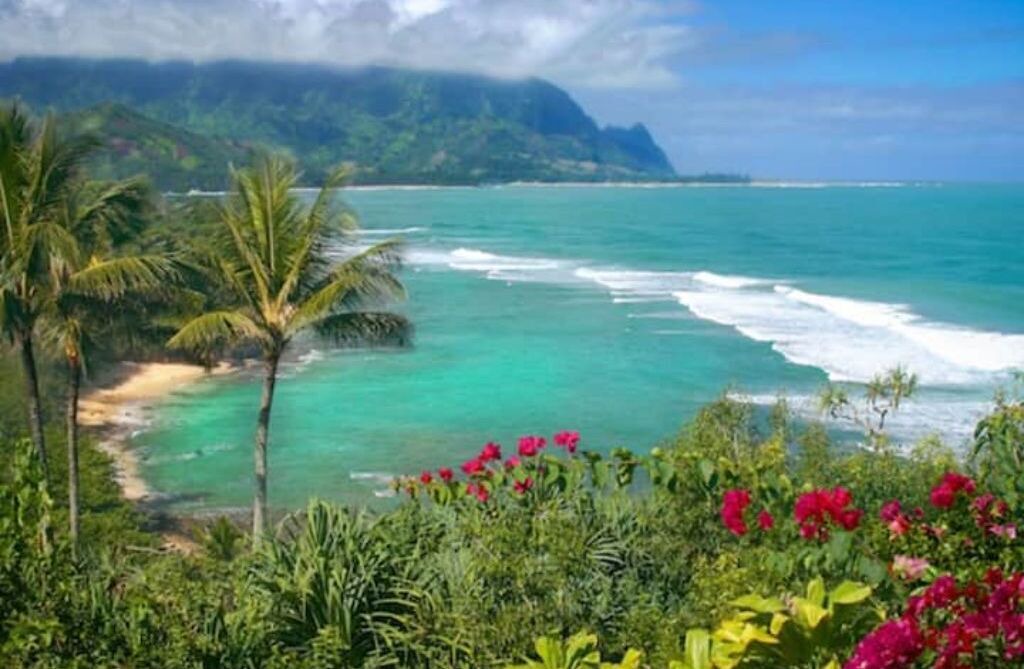 Photo of Others in Princeville