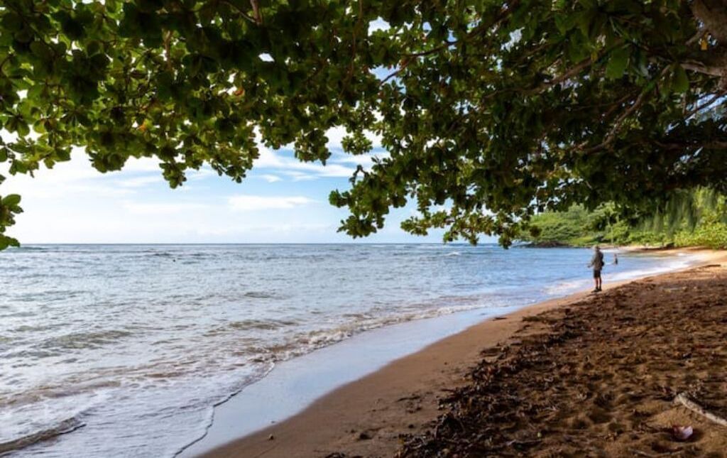 Photo of Others in Princeville
