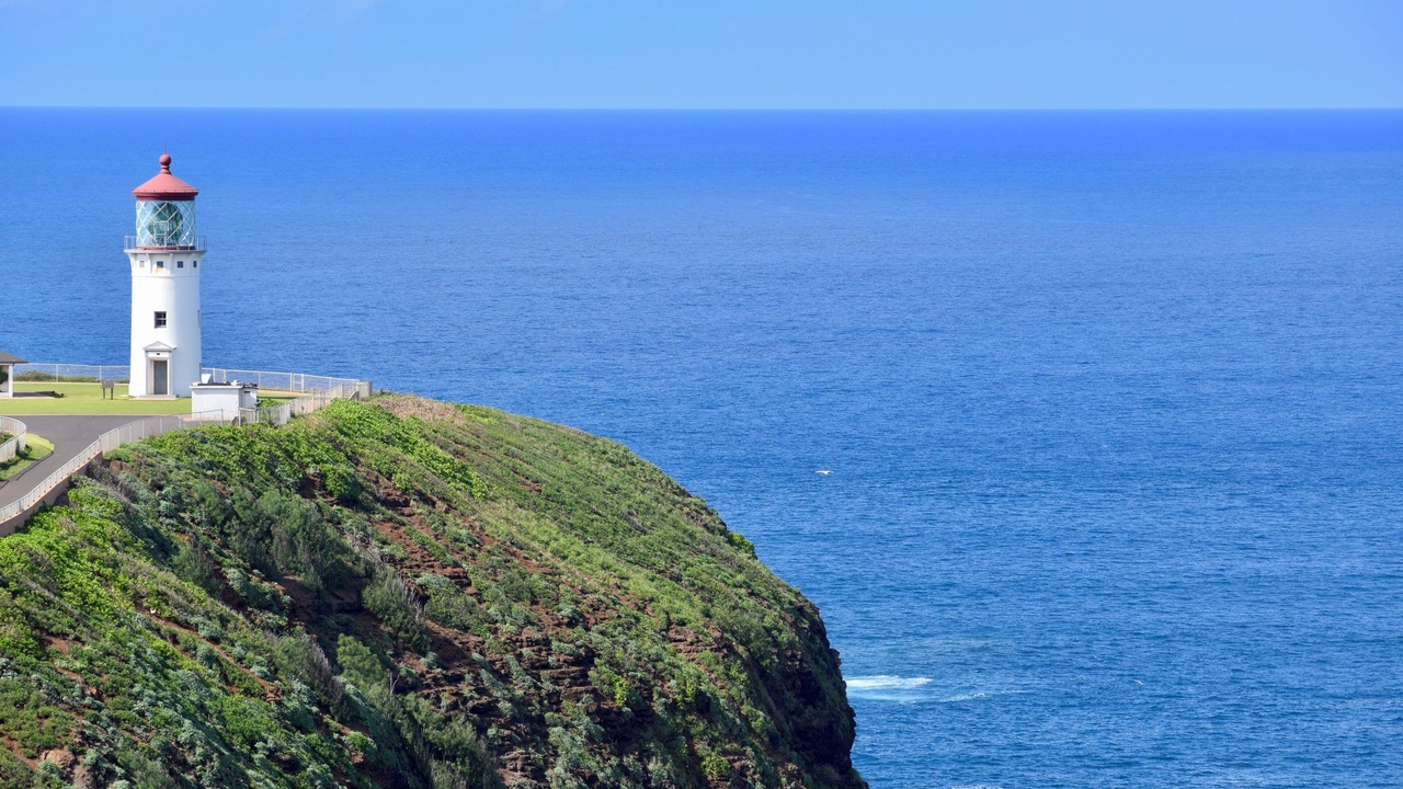 Photo of Others in Princeville