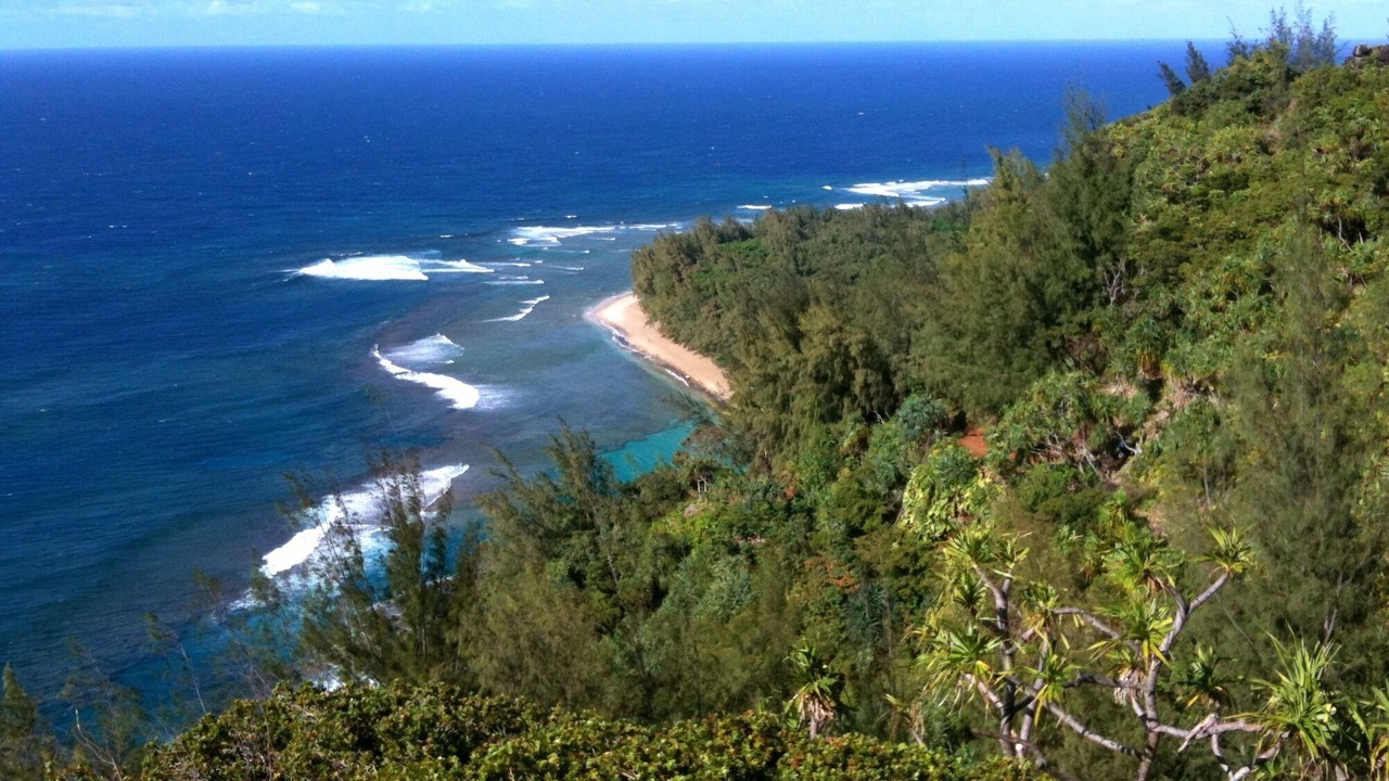 Photo of Others in Princeville
