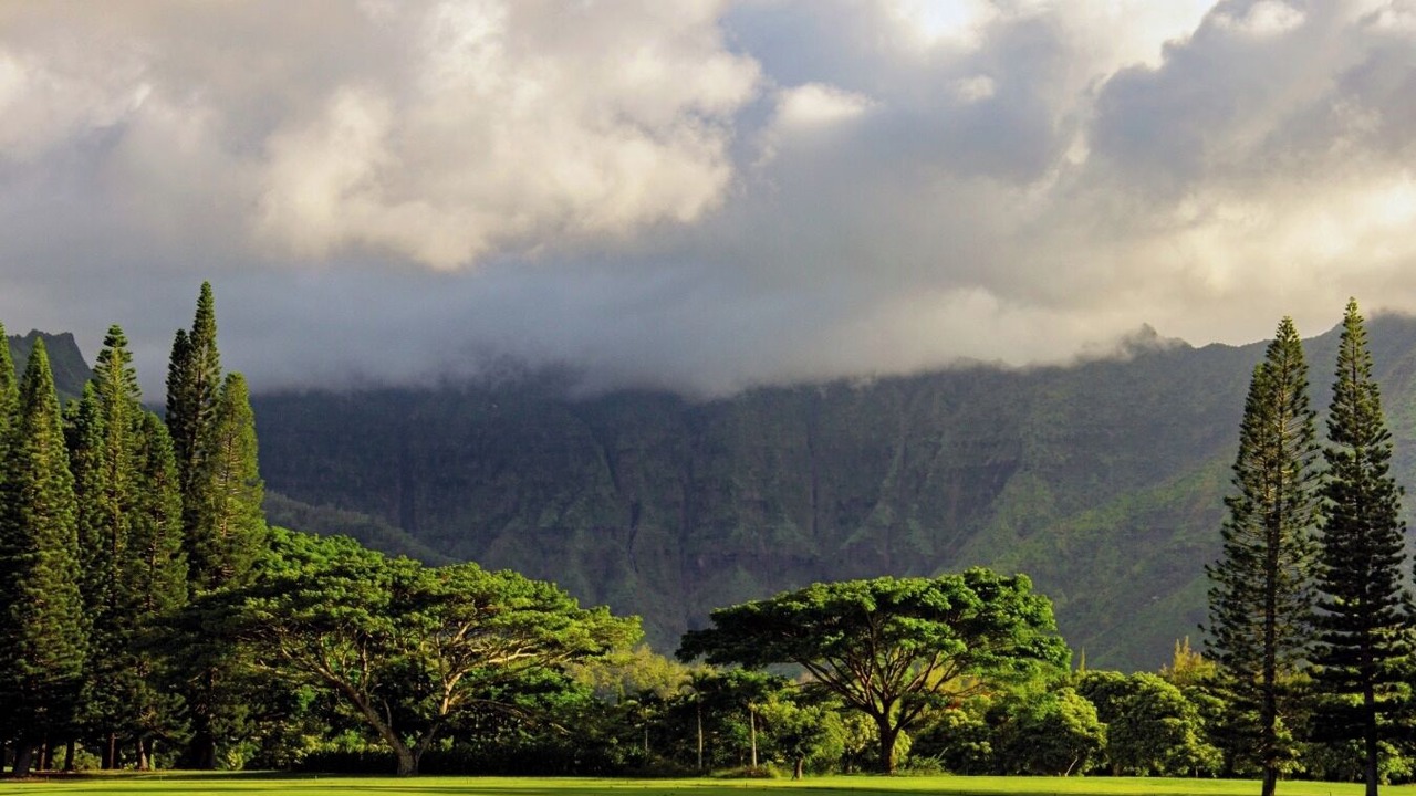 Photo of Others in Princeville