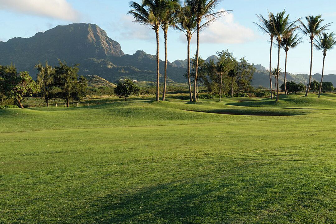 Photo of Others in Princeville