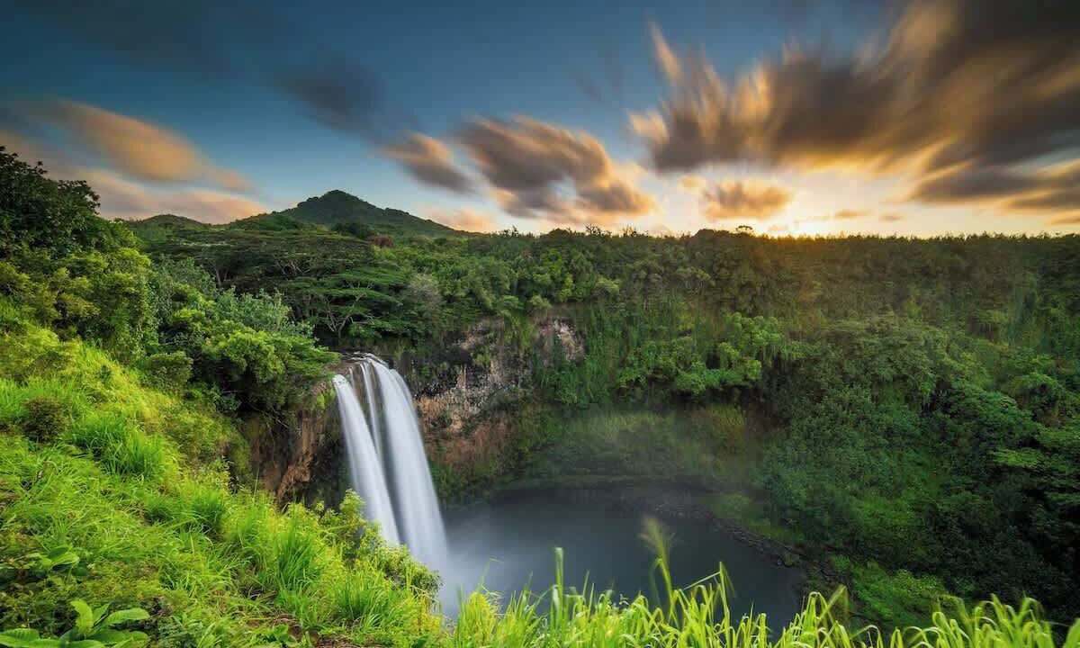 Photo of Others in Princeville