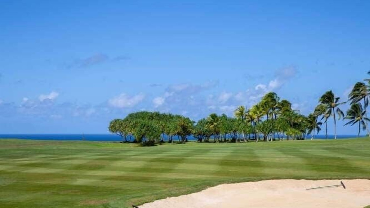 Photo of Others in Princeville