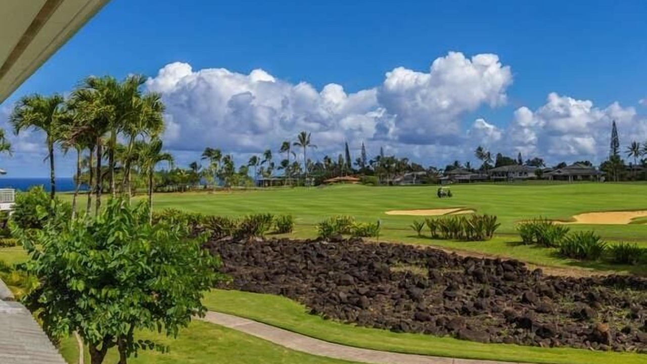 Photo of Others in Princeville