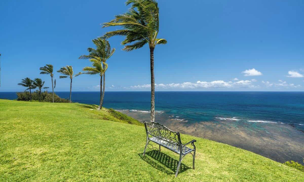 Photo of Others in Princeville