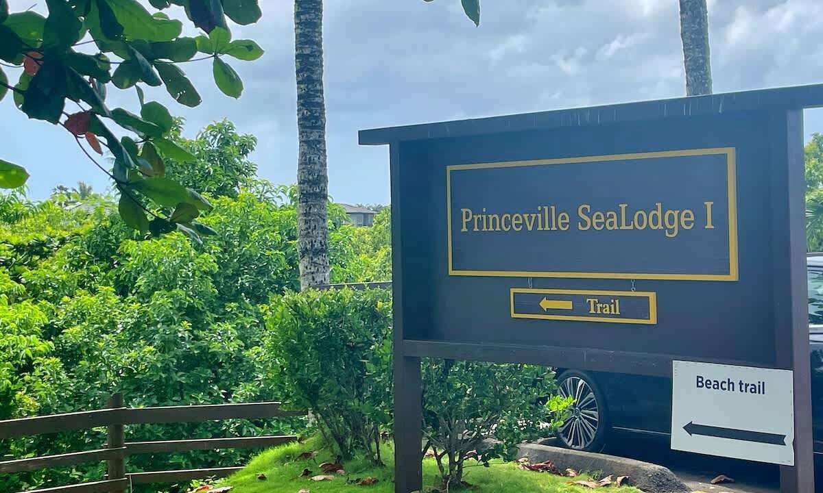 Photo of Outdoor in Princeville