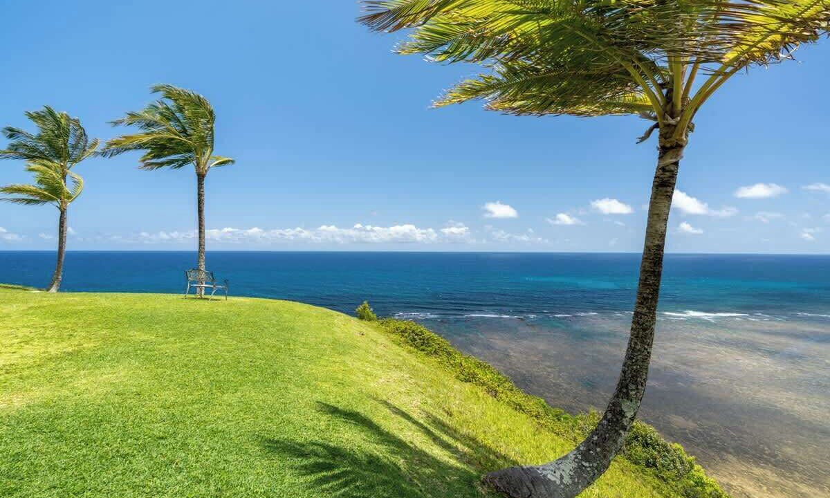 Photo of Others in Princeville