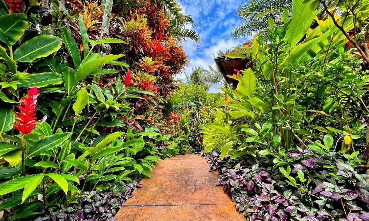 Photo of Others in Princeville