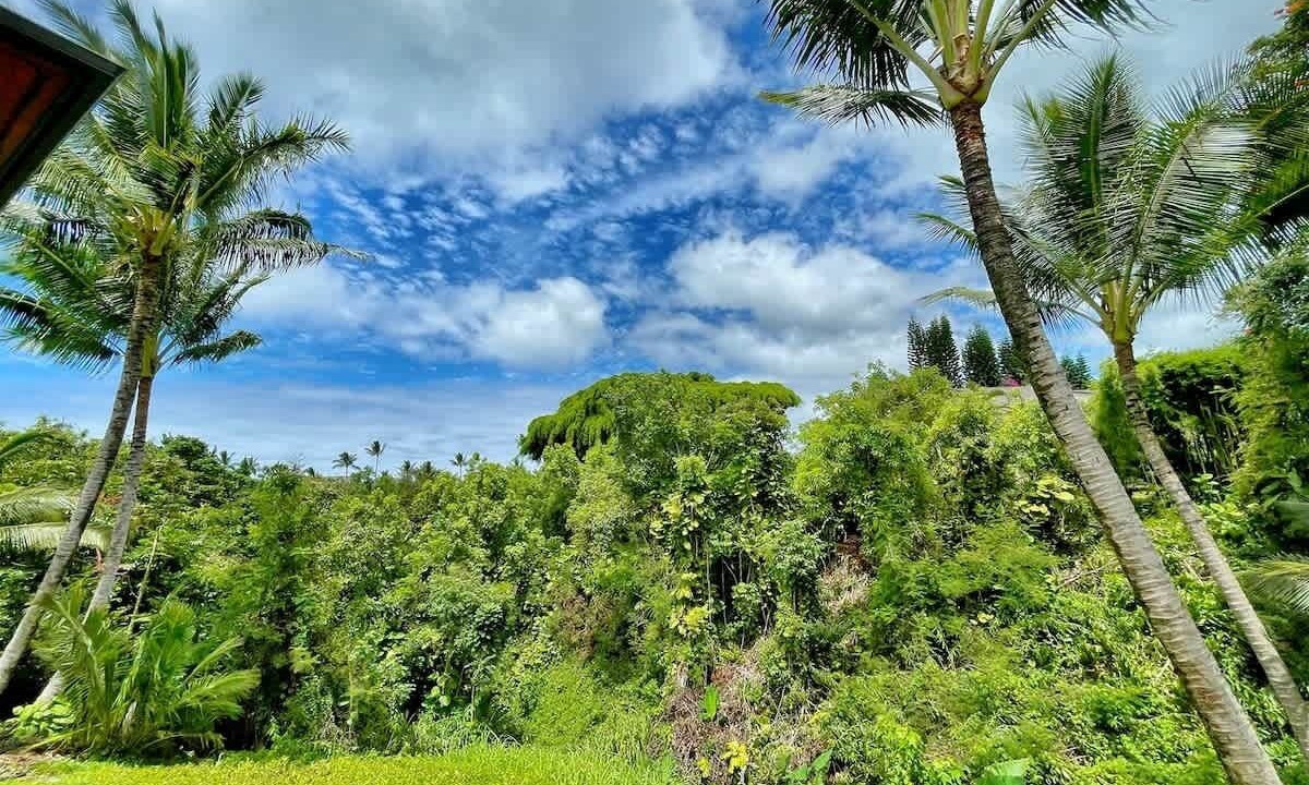 Photo of Others in Princeville