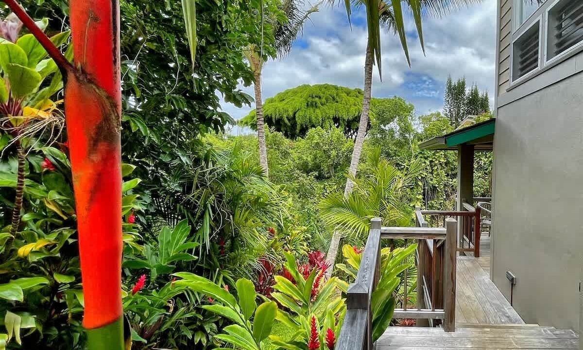 Photo of Outdoor in Princeville