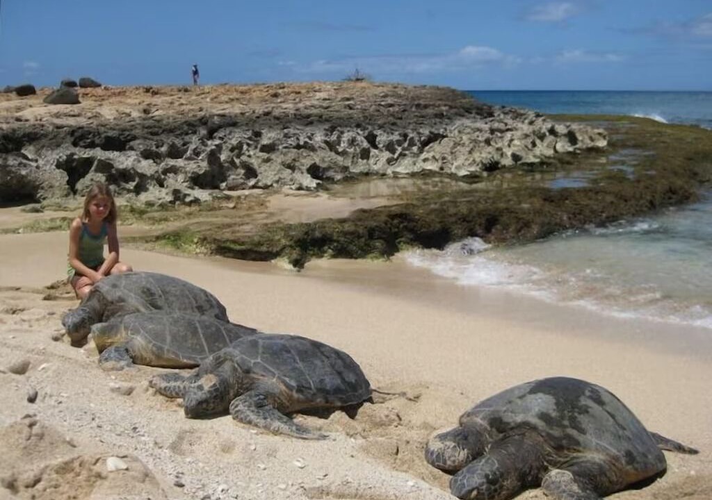 Photo of Others in Laie