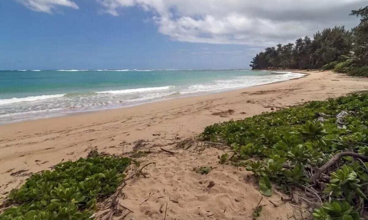 Photo of Others in Laie