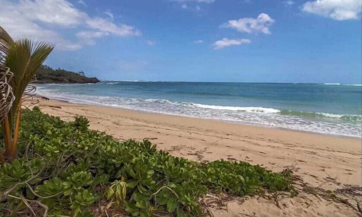 Photo of Others in Laie