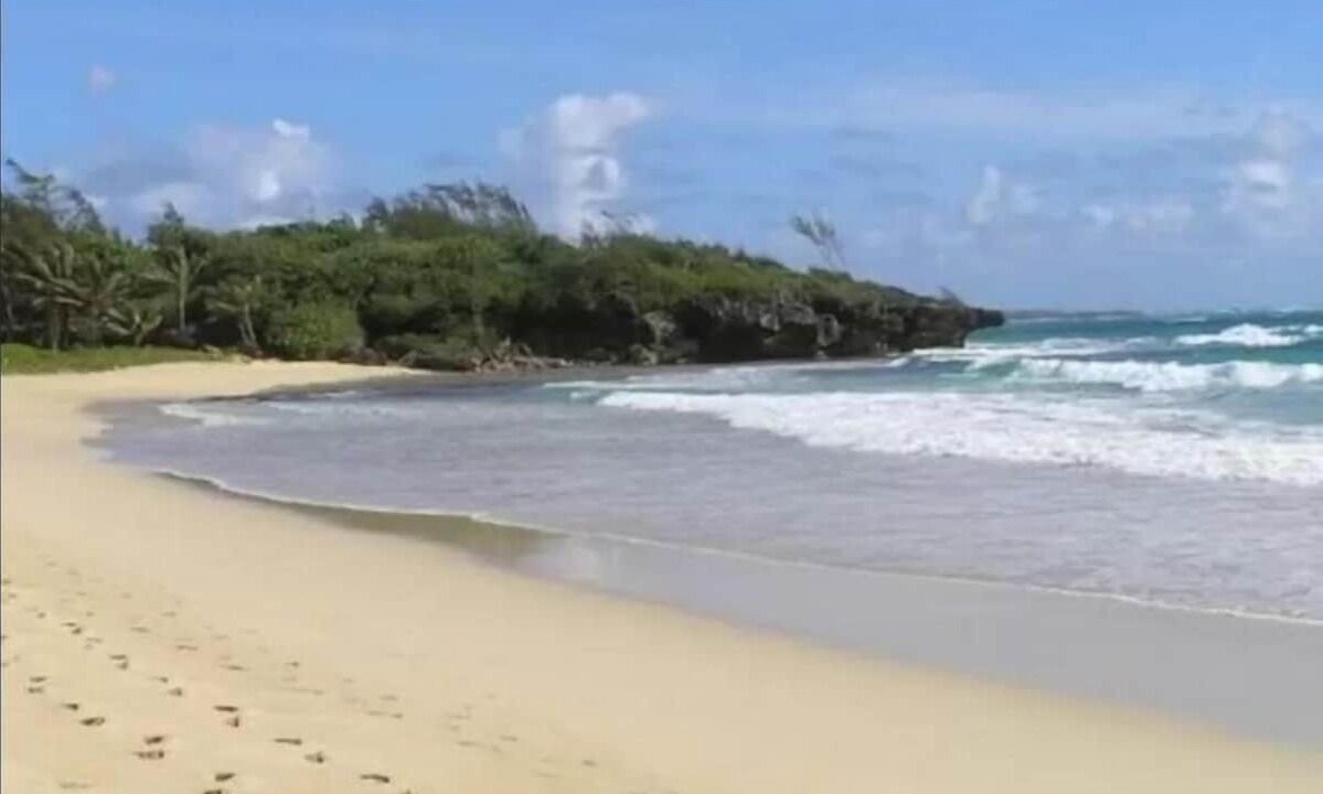 Photo of Others in Laie