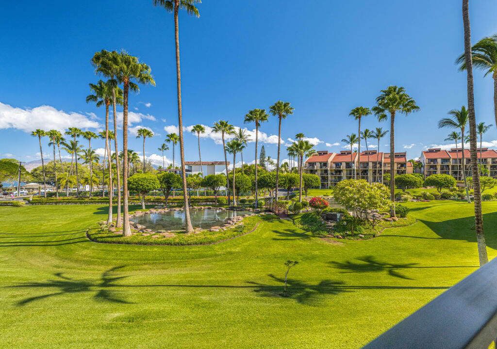 Photo of Outdoor in Kihei