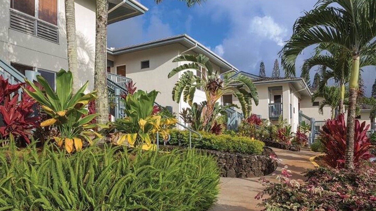 Photo of Outdoor in Princeville