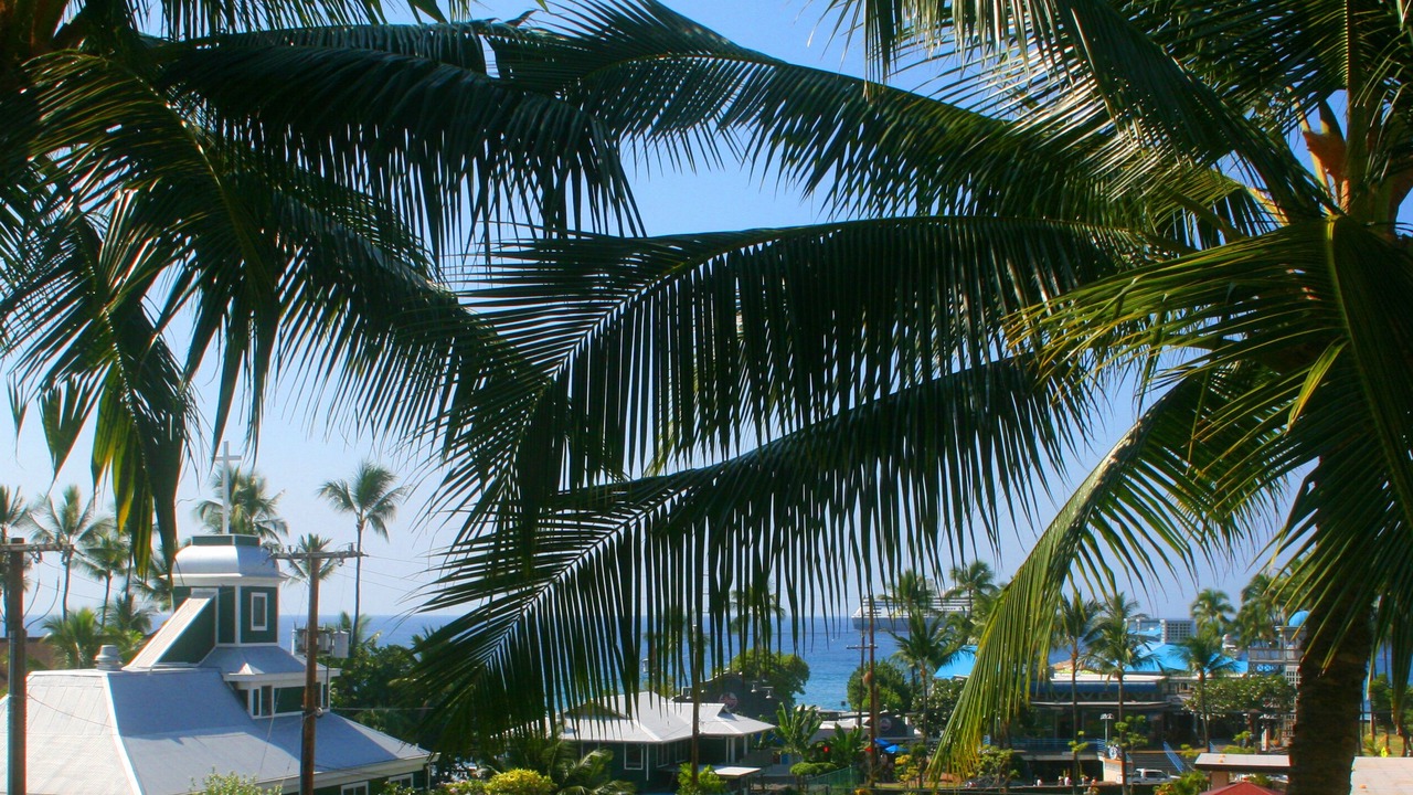 Photo of Others in Historic Kailua Village