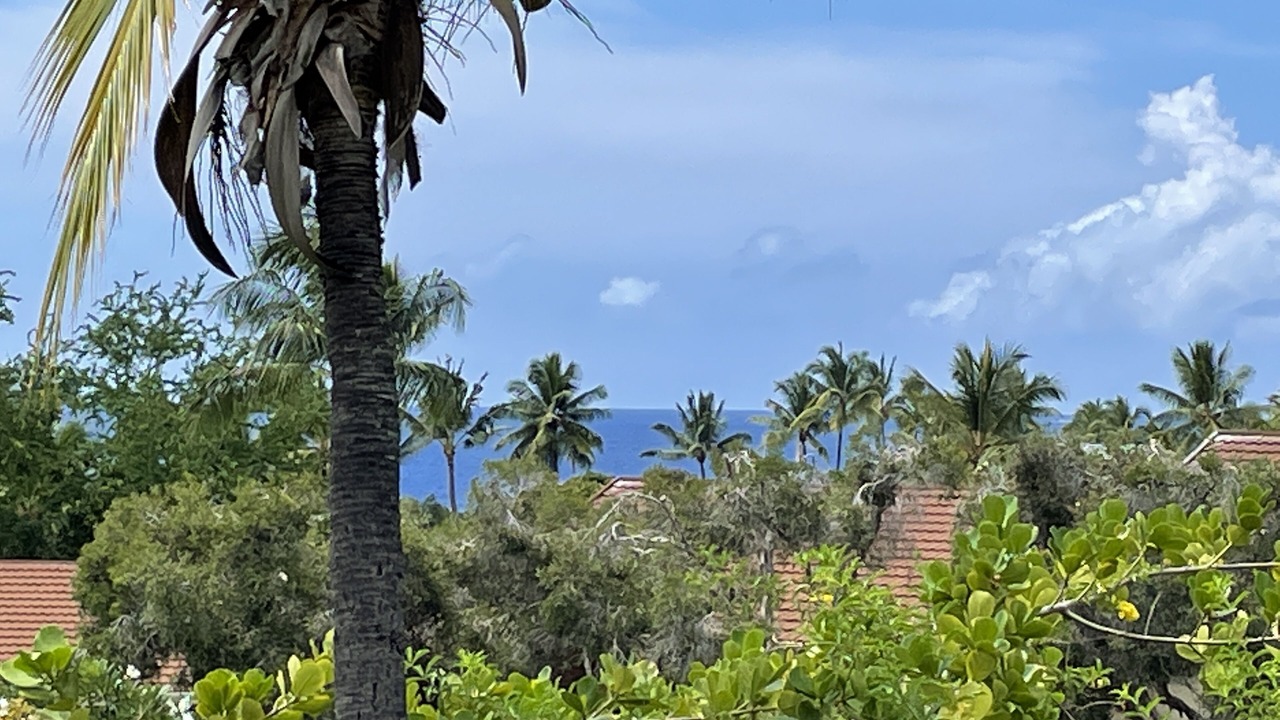 Photo of Others in Keauhou