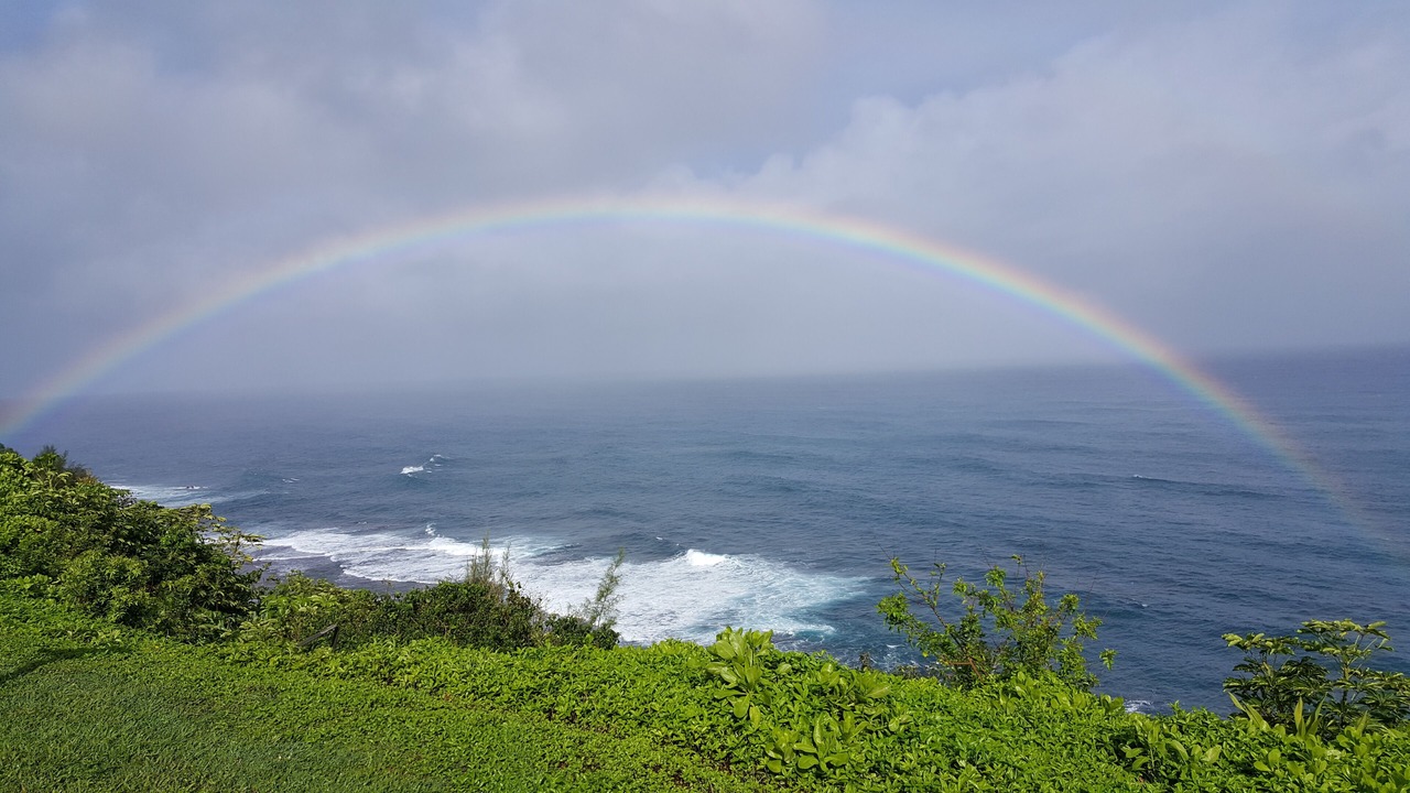 Photo of Others in Princeville