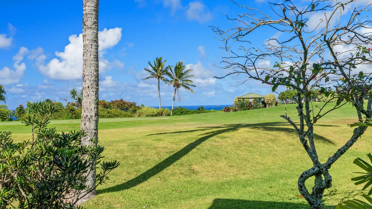Photo of Others in Princeville