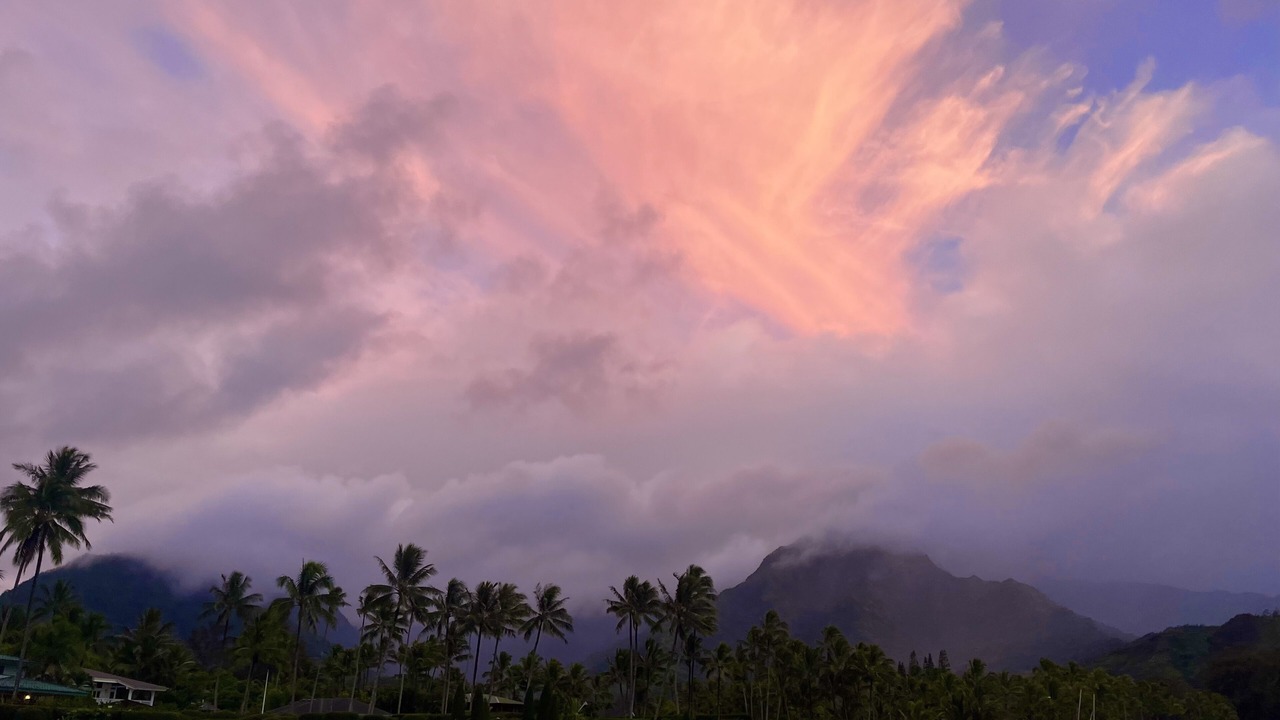 Photo of Others in Princeville