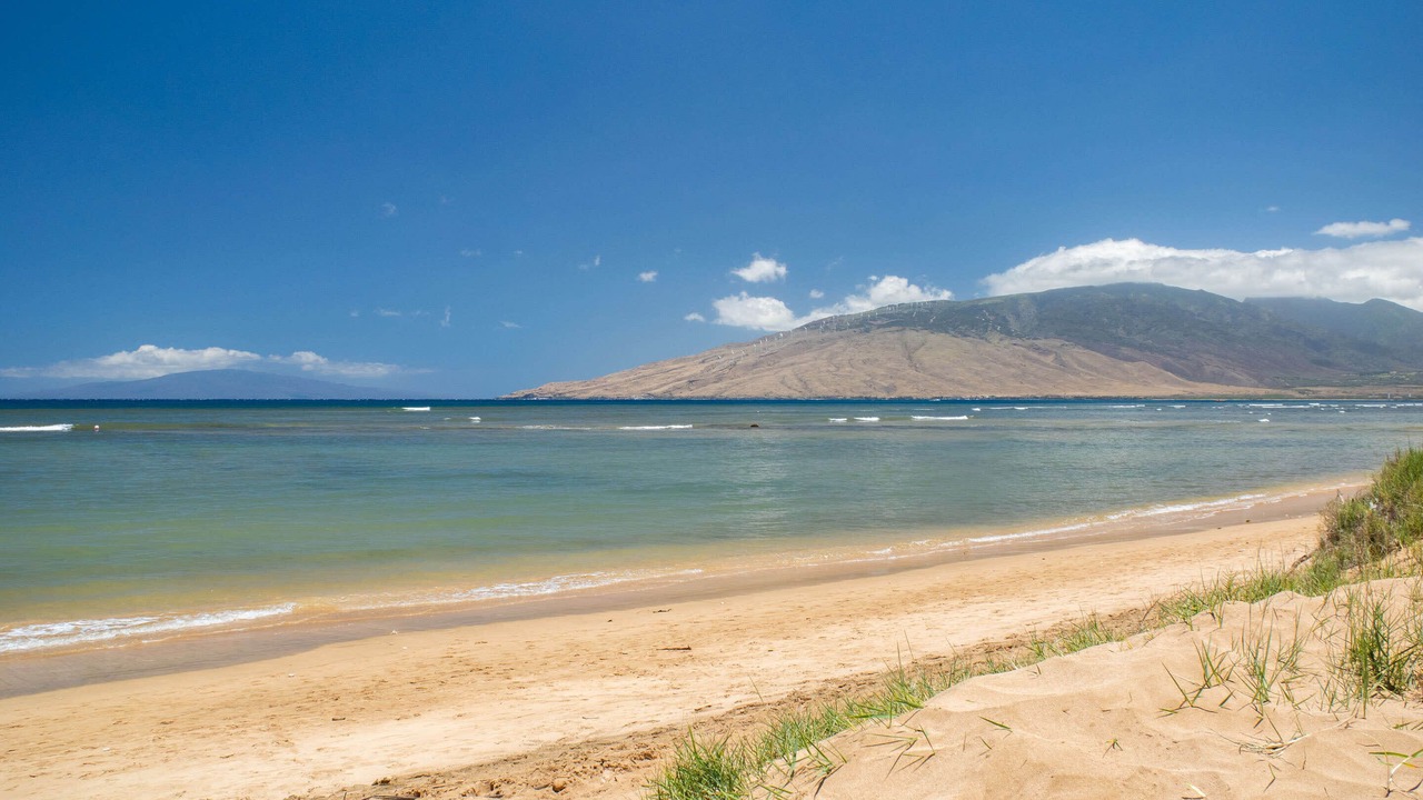 Photo of Others in Kihei