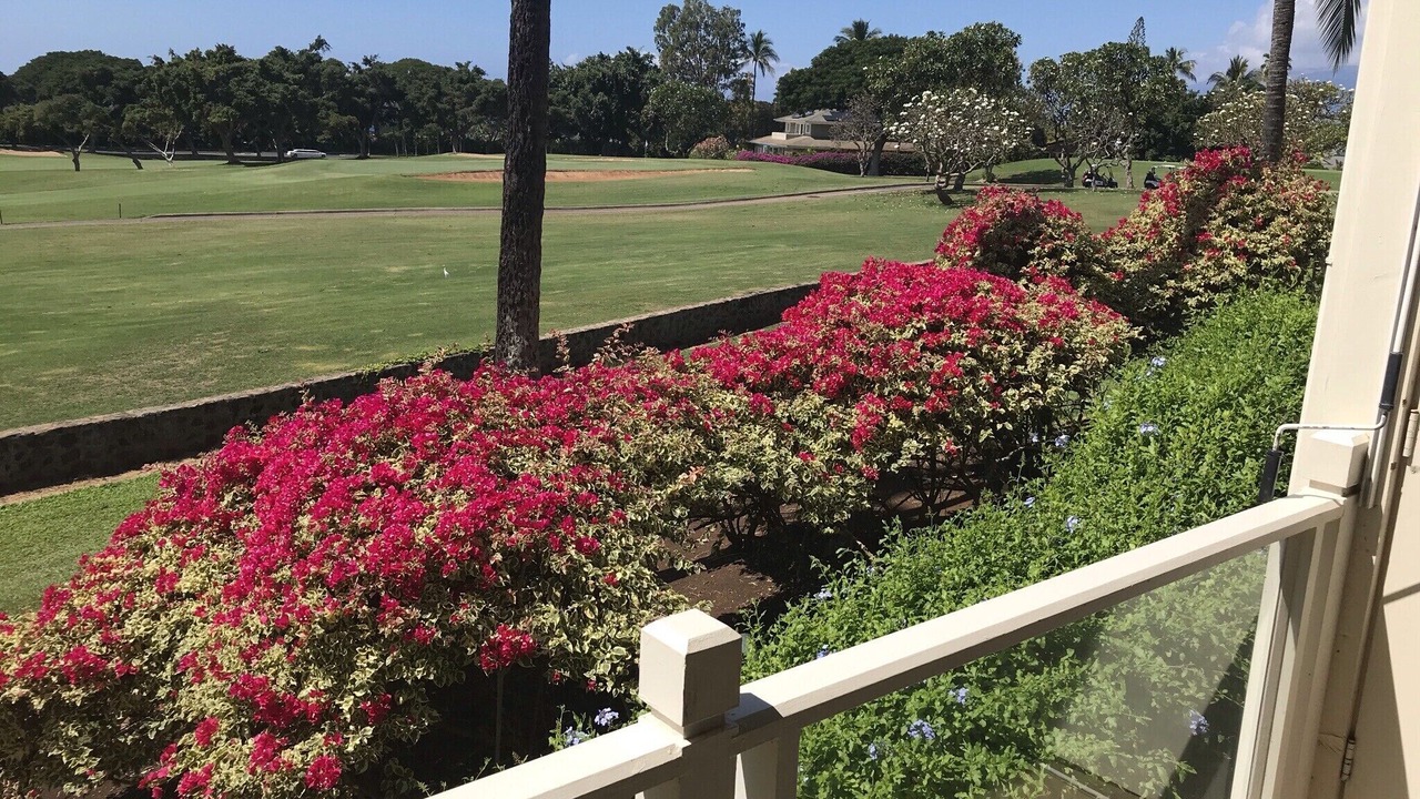 Photo of Outdoor in Wailea