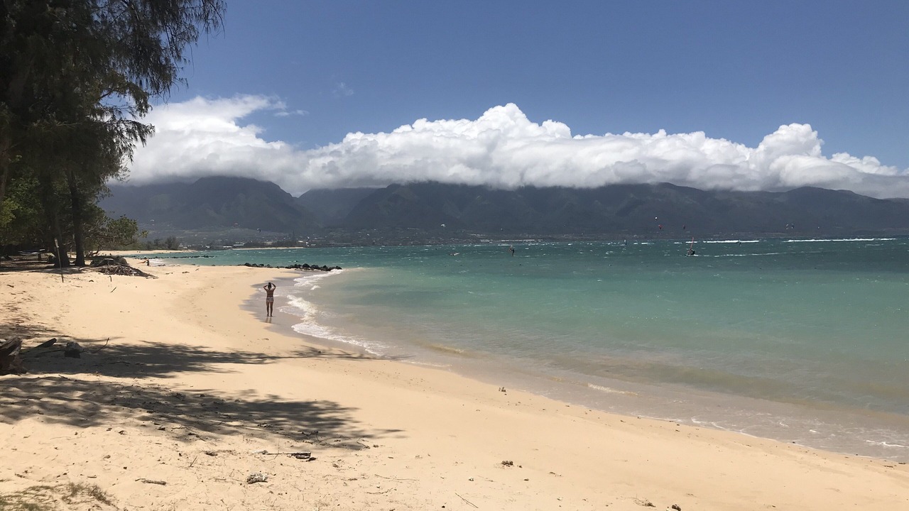Photo of Others in Wailea
