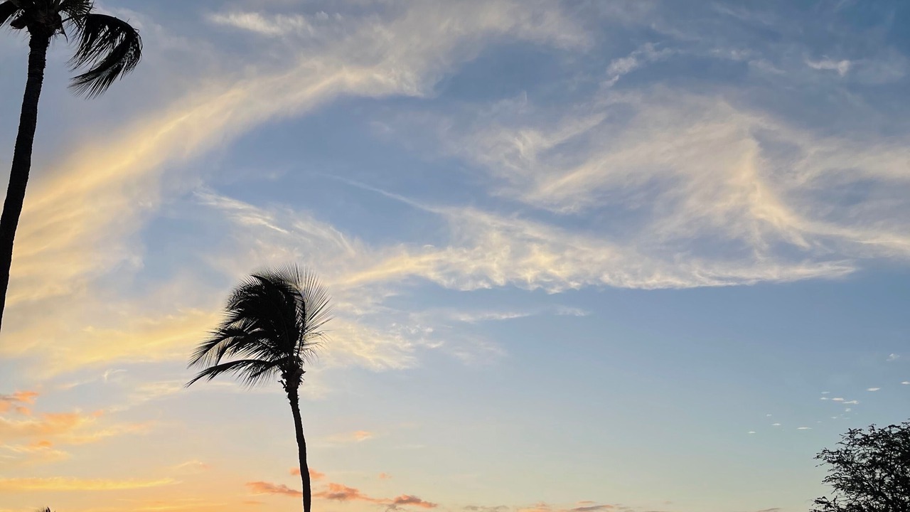 Photo of Others in Wailea