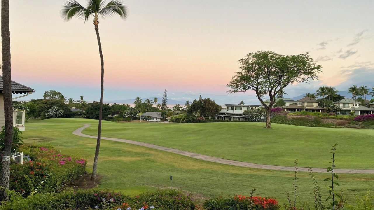 Photo of Others in Wailea