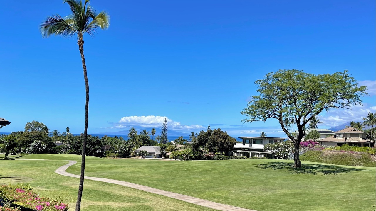 Photo of Others in Wailea