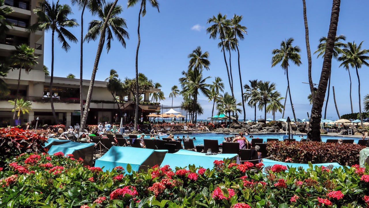 Photo of Outdoor in Waikiki