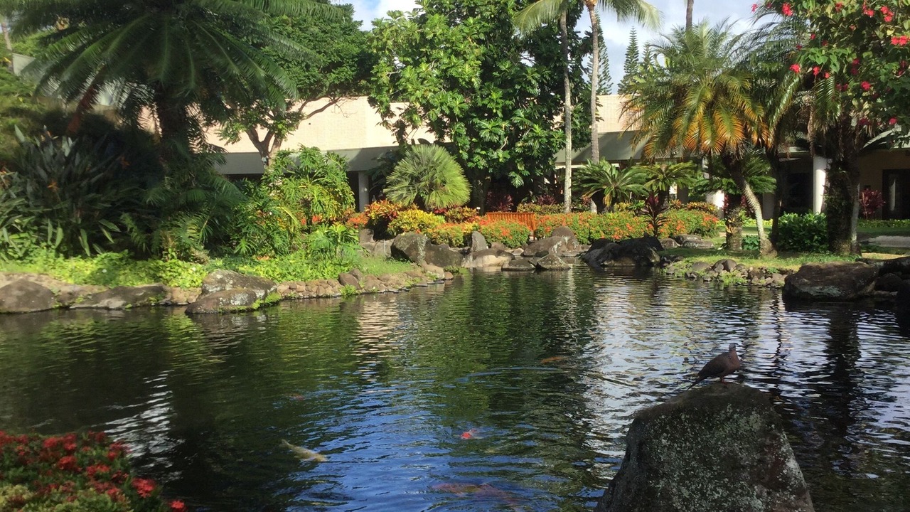 Photo of Outdoor in Lihue