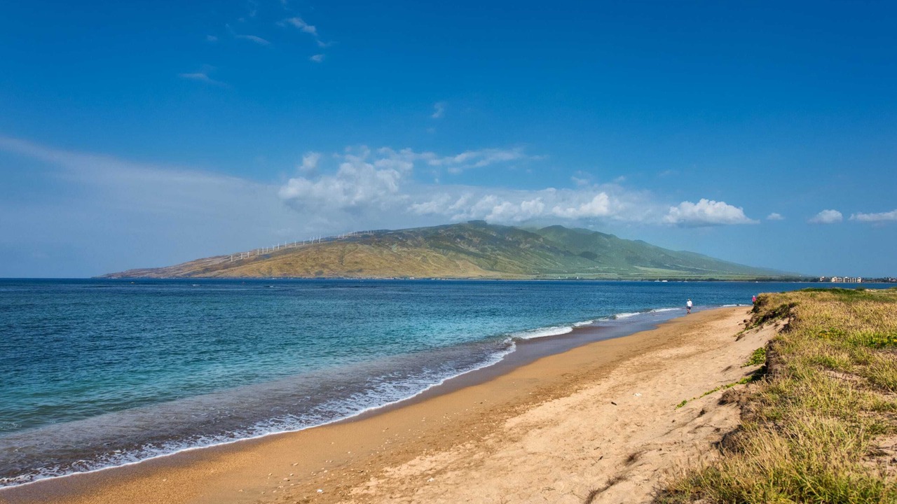 Photo of Others in Kihei
