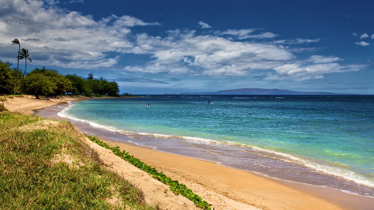 Photo of Others in Kihei
