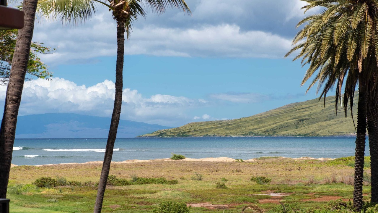 Photo of Others in Kihei