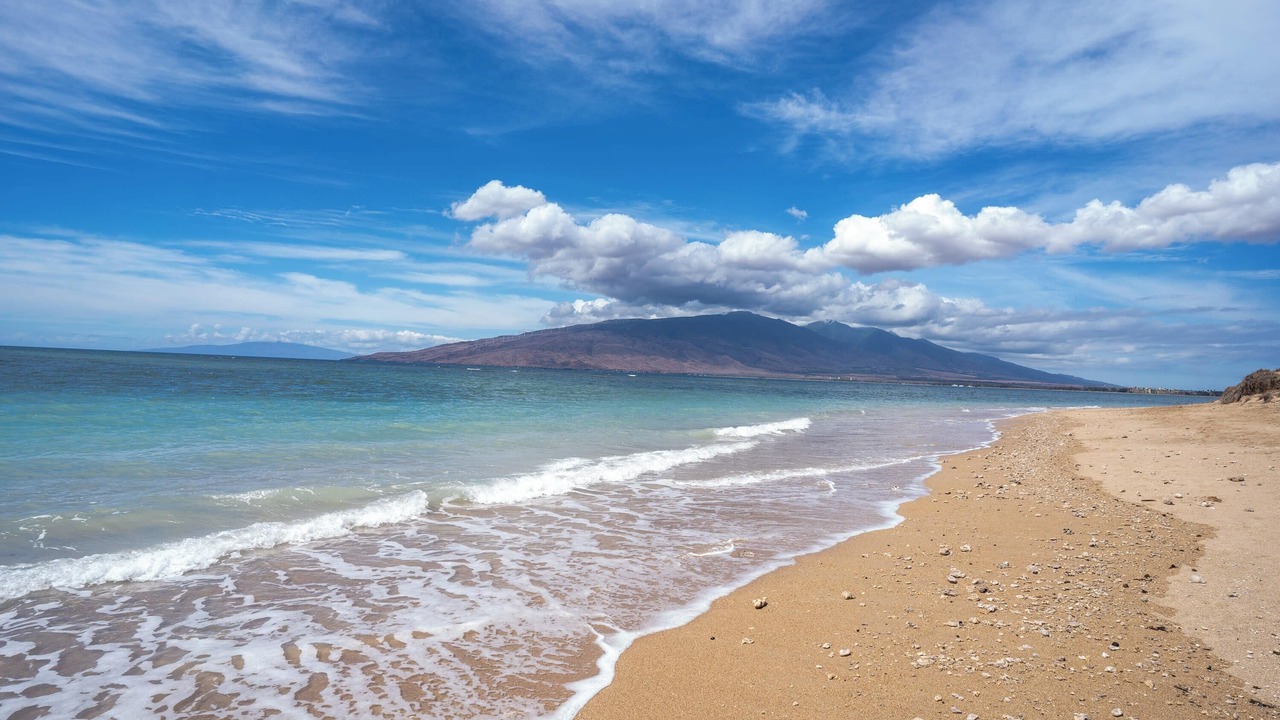 Photo of Others in Kihei