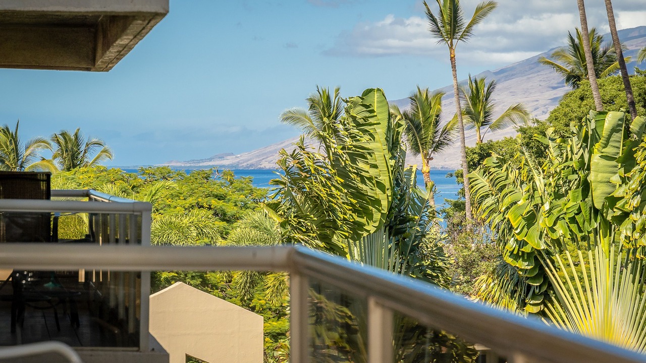 Photo of Outdoor in Kihei