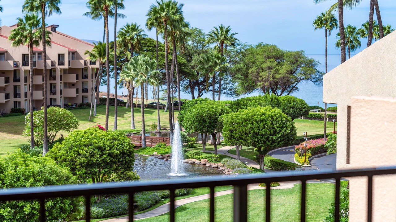 Photo of Others in Kihei