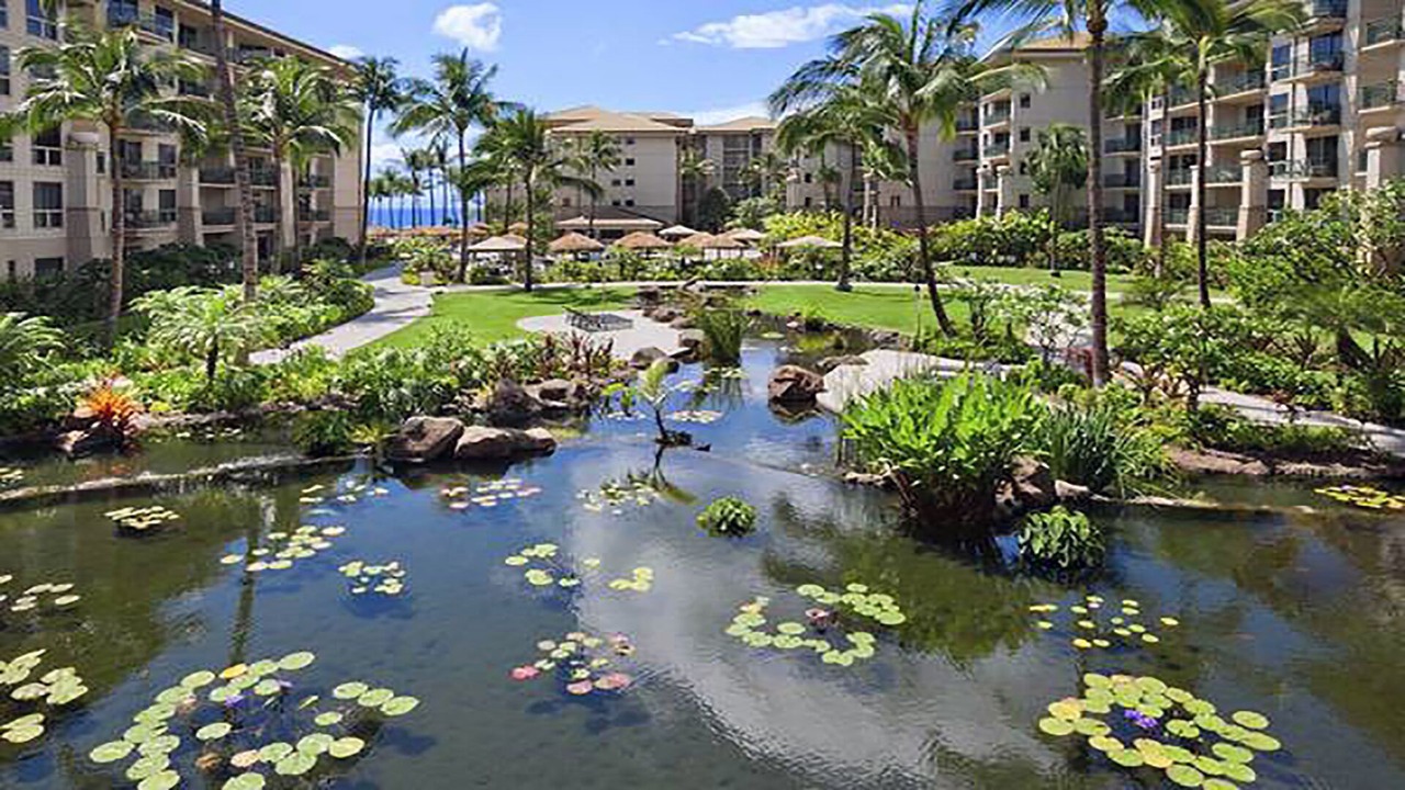 Photo of Outdoor in Kaanapali
